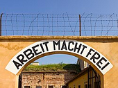 Nazisternas illgärningar