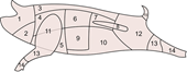 Svindelfrågor