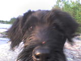 BALTAZAR1