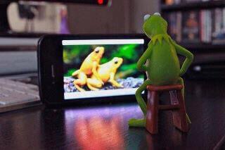 FrogMaster