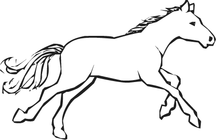 ewarr
