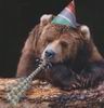 no1grizzly